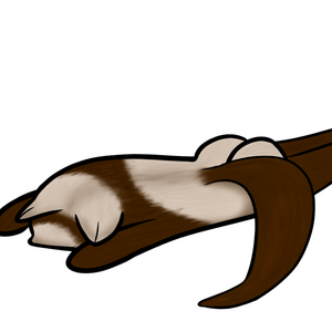 poseidontheseaferret